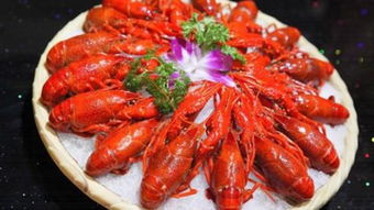小龍蝦價格暴跌，為何餐館仍貴？調料成本與消費體驗成關鍵